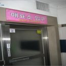 실로암바이런피아 이미지