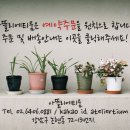 클래시 아뜰리에