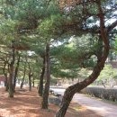 예향문화 이미지