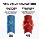 하지웰심장혈관흉부외과의원 이미지