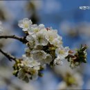 부모님 위한 영통구 요양원 추천 씨앤더블유너싱홈 편안한 돌봄 공간