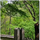 외산 무량사 부도군 | [충남부여] 수수하고 순박한 시골처녀 같은 느낌, 천년고찰 만수산 무량사