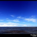 코발트블루 이미지