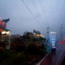 신이난닭 이미지