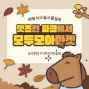 모모마켓 - 중구 큰장로28길 27 | 모모마켓