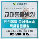 내마음의 동물병원 이미지
