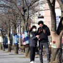 가로수 이미지