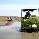 당진농기 이미지