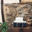 해담뜰 | 제주애월독채펜션 해담뜰 펜션 제주서쪽숙소 후기