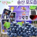 (유)하마 이미지