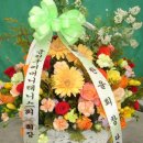 차이웅 이미지