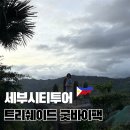 세부 굿바이팩 가격 및 일정 트리쉐이드 시티투어 후기