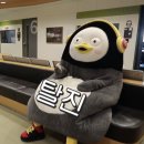 카츠모토 이미지
