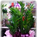 정원골프 아카데미 이미지