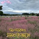 경주여행 2탄 첨성대 핑크뮬리 후기