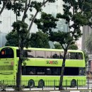 SG과학 | 2월 개운법 : 싱가포르로 여행가기