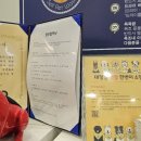 올리스 24 펫택시 네이버블로그