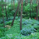 자생식물원 이미지