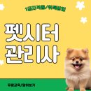 한양동물병원(출장전문) | 펫시터관리사 자격증 반려동물 돌봄 전망 및 취득 후기