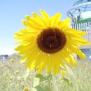 학암농장 이미지