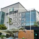 서대문자연사박물관(11월~2월) 이미지