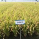 중원축산 이미지