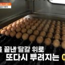 한솔환경개발 이미지