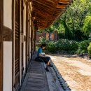 광주 출사(이장우고택,펭귄마을,국립 문화전당 담양 메타세쿼이아) 이미지