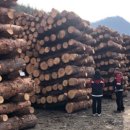 동해-단속-50 이미지