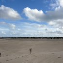 AND전자저울 노동조합 | 2025-2 UWA 교환학생 후기 (+꿀팁?)