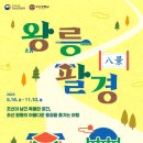 왕릉길 네이버블로그