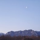 성환엘크사슴농장 | [⛺️고성]켄싱턴리조트 설악밸리 세가족 아이들과 숙박 후기