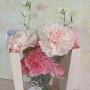 더플로라 이미지