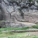 금송의원 이미지