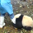 사랑비디오 이미지