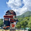 별천지민박 | 2025 FUJI ROCK 후지락 페스티벌 후기-3