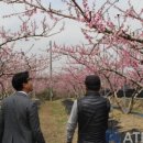 농업회사법인 주식회사 새벽 이미지