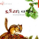 도토리 이미지