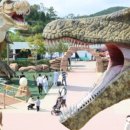 고성공룡이벤트 이미지