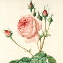 봄정신건강의학과의원 이미지