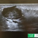 박종태유바외과의원 이미지