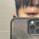 빛날시간 | [밤] #12 2024 성과 정리(연말정산)_2025.02.09(21:33)