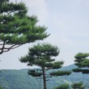 진양수지 네이버블로그