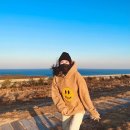 바다며느리 이미지