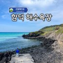 제주 동쪽 가볼만한곳 "제주의 몰디브" 에메랄드 빛 함덕해수욕장!