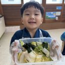 🥬찬솔반🥬 물김치를 담궈보았어요👩‍🍳👨‍🍳 이미지