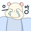 인천승마공원 이미지