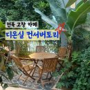 전북 고창 대형카페 [디온실 컨서버토리] 아이랑 가볼 만한 곳 내돈내산