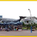 울산 장생포고래박물관 이미지