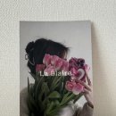 라블레어 이미지